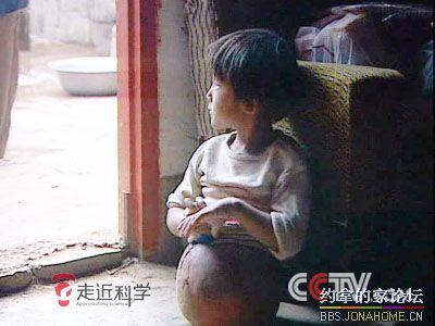 3793045.jpg