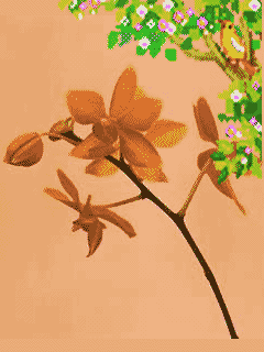 20090522_ef9c1a053279490b7f49txlttcxetggt.gif