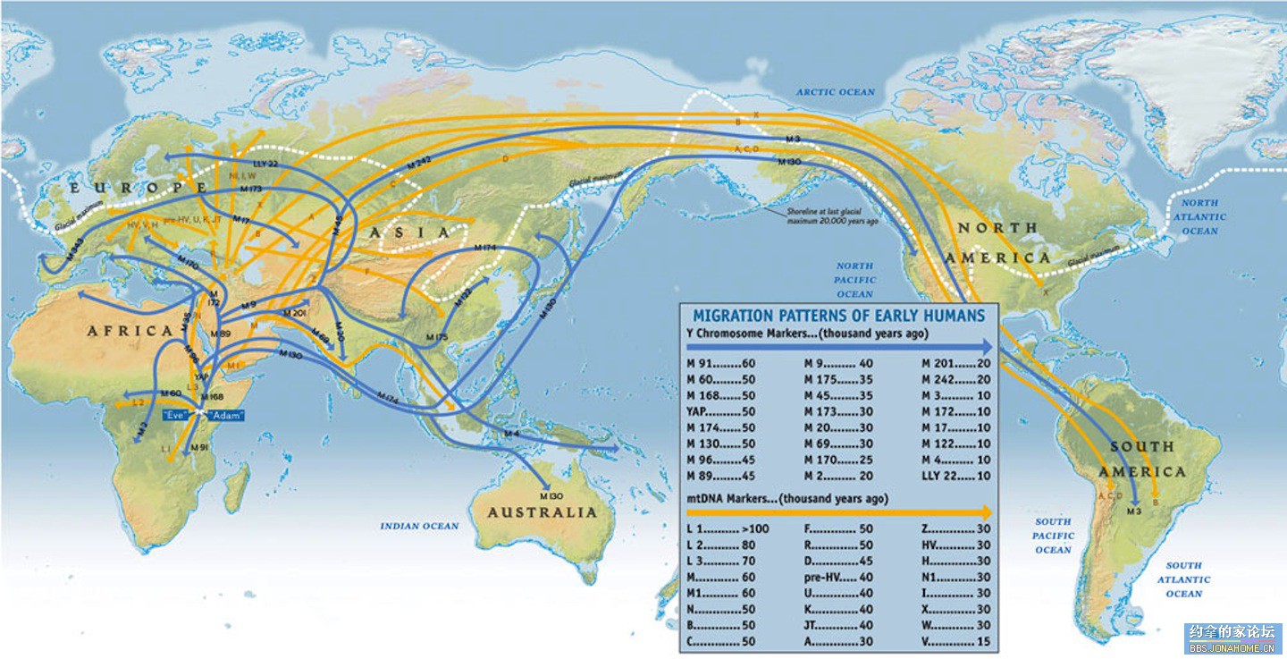 GenographicProjectMapBig.jpg