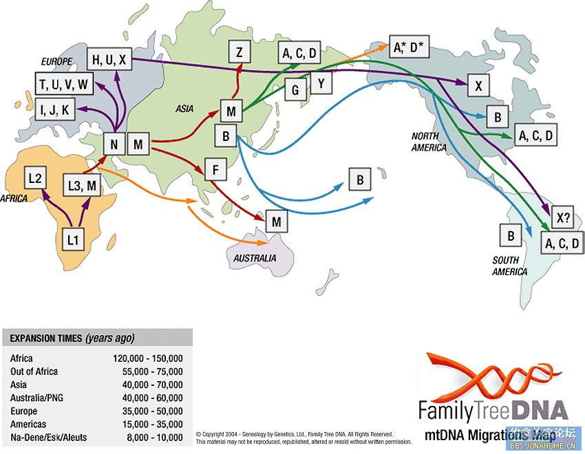 genographicmap2007best.jpg