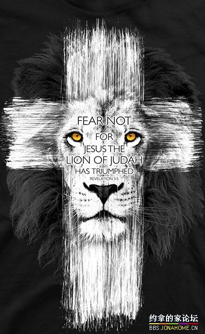 Fear Not For Jesus The Lion of Judah Has Triumphed