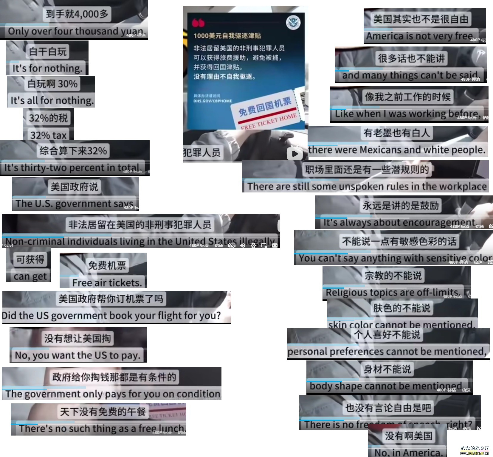 z2.jpg